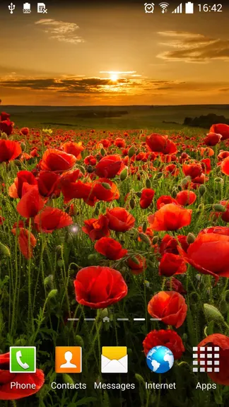 Скриншот 3/5