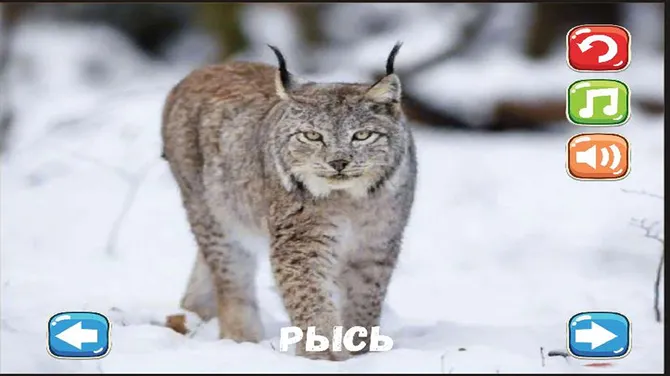 Скриншот 4/5