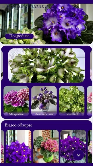 Скриншот 2/3