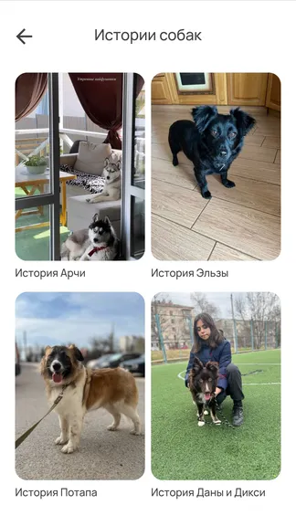 Скриншот 5/5