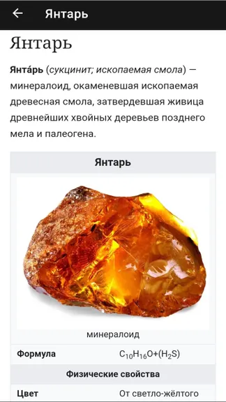 Скриншот 5/7