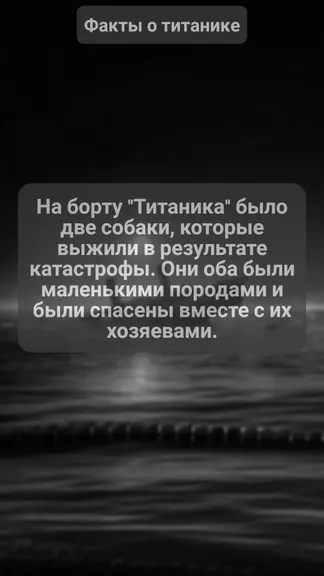 Скриншот 1/2