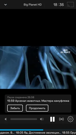 Скриншот 3/8