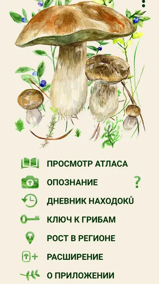 Скриншот 1/5