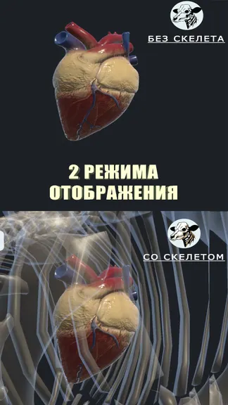 Скриншот 3/7