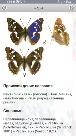 Скриншот 8/8