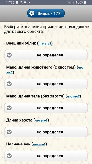 Скриншот 3/8