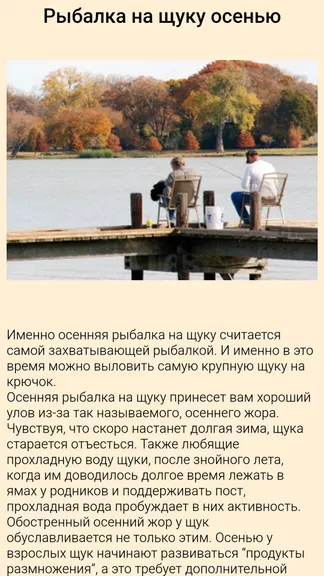 Скриншот 3/5