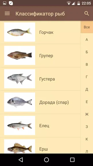 Скриншот 2/4