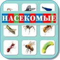 Карточки Логопеда Насекомые (127) логотип