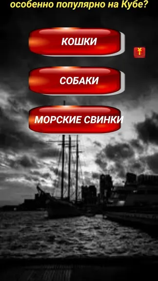 Скриншот 4/4