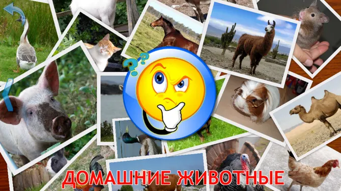 Скриншот 5/8