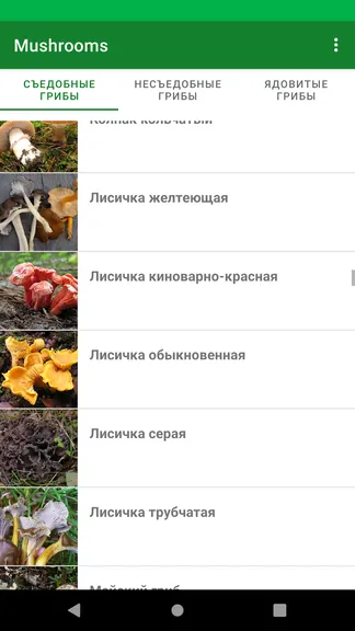 Скриншот 2/4