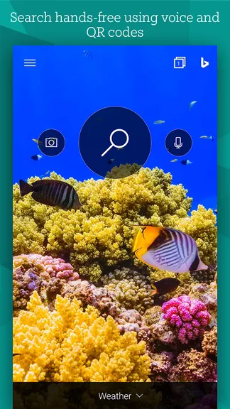 Скриншот 3/4