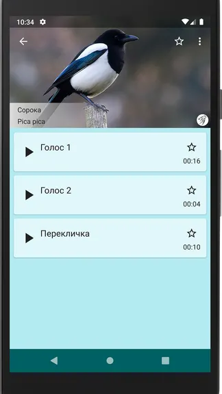 Скриншот 3/4