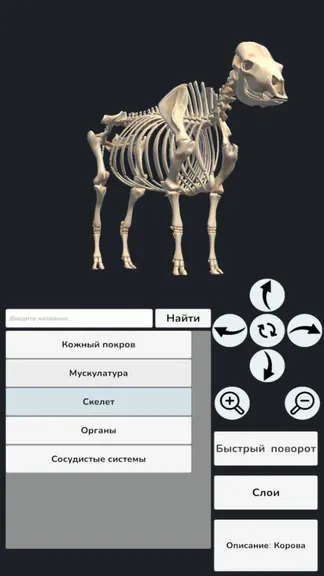 Скриншот 5/7