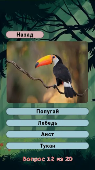 Скриншот 5/8