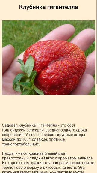 Скриншот 5/5