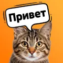 Кошачий переводчик: для кошек и котов логотип