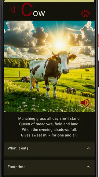 Скриншот 8/9