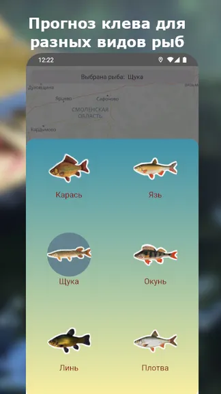 Скриншот 4/5