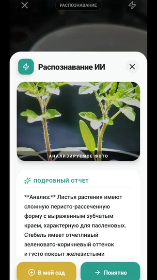 Скриншот 3/9