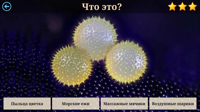 Скриншот 4/7