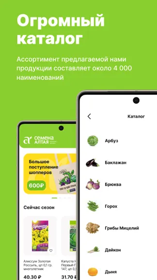 Скриншот 3/6