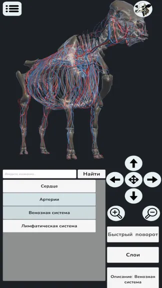 Скриншот 6/7