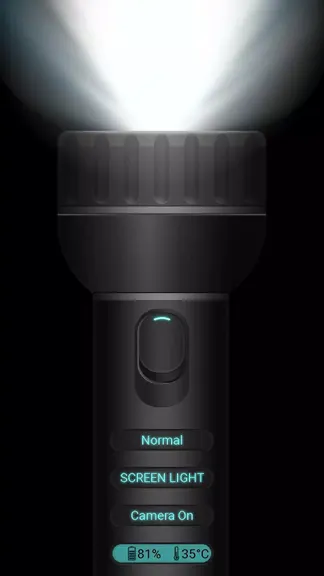 Скриншот 2/4