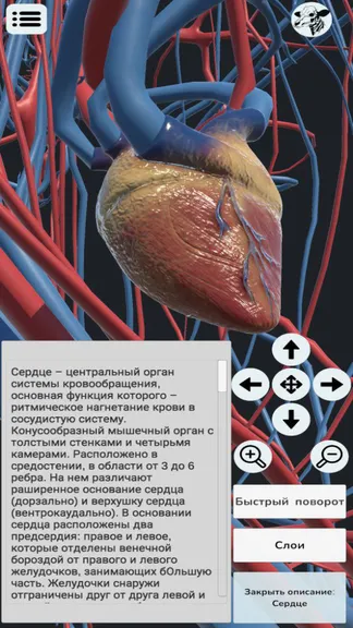 Скриншот 7/7