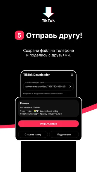 Скриншот 5/5