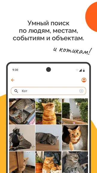 Скриншот 2/7