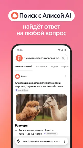 Скриншот 3/9