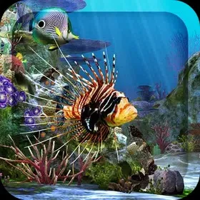 3D Aquarium Live Wallpaper HD