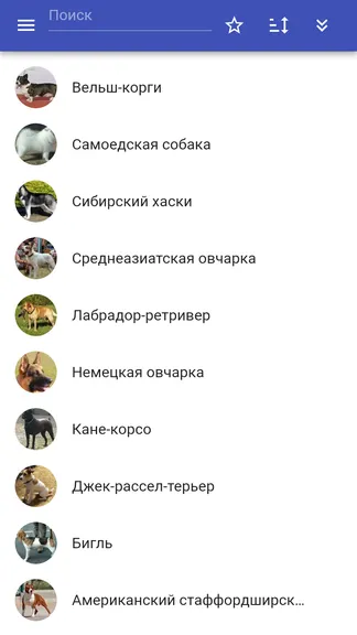 Скриншот 1/5