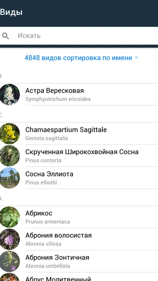 Скриншот 4/5