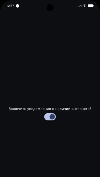 Скриншот 2/4