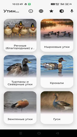 Скриншот 4/5