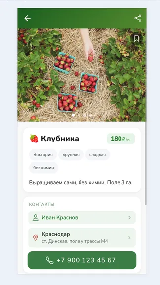 Скриншот 5/6