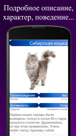 Скриншот 2/3