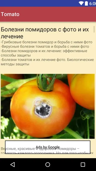 Скриншот 1/3