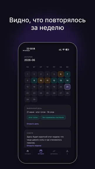 Скриншот 5/5