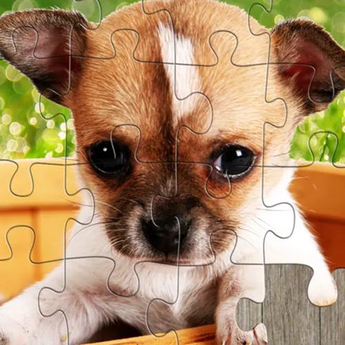 Cute Puppies Puzzle — иконка