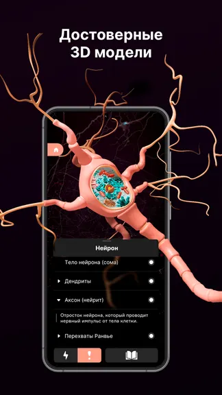 Скриншот 1/4