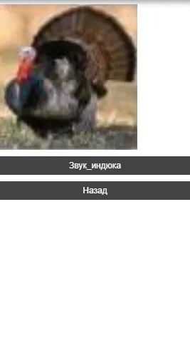 Скриншот 3/3