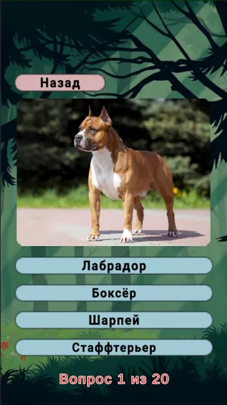 Скриншот 1/8