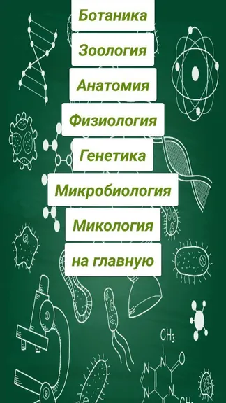 Скриншот 1/4