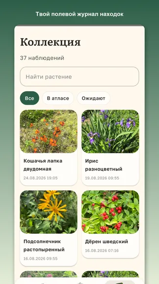 Скриншот 4/6