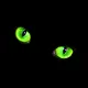 black_cat (без рекламы) логотип